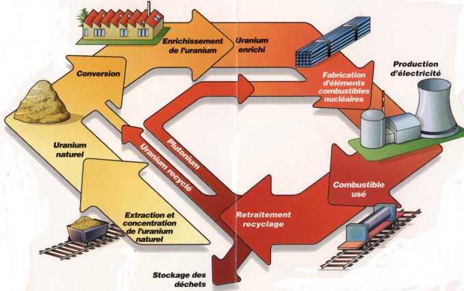Schema.jpg - 62.36 K